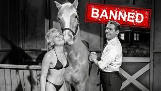 Thumbnail: This Scene Took ''Mister Ed'' Off The Air For Good, You Won't Believe It