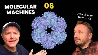 Thumbnail: Proteins Are Squishy Magnetic Legos: Flagella Evolution 06