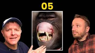 Thumbnail: Evolution by Recruitment: Flagella Evolution Episode 05