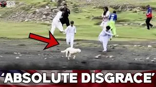 Thumbnail: Psycho Muslims THROW Stones At Defenseless Dog In Lake District