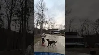 Thumbnail: Raw Training Session | Basic Heeling with Ira (Unedited)