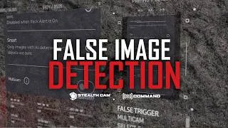 Thumbnail: NEW False Image Detection | Eliminate Empty Trail Cam Photos