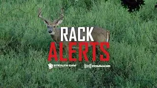 Thumbnail: NEW Rack Alert Feature | Get Notified When Big Bucks Show Up