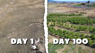 Thumbnail: Turning a Desert Hillside Into a Lush Food Forest (Swales)