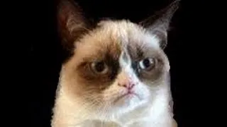 Thumbnail: Short laughter