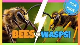 Thumbnail: 🐝 BEES vs. WASPS! 🦟 | Ultimate Insect Showdown for Kids | Educational Videos for Kids