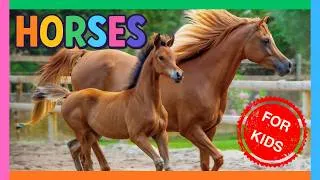 Thumbnail: 🐴HORSES for Kids🐎 Fascinating Facts about HORSES🐴 Educational Video for Kids