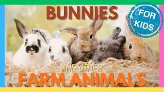 Thumbnail: BUNNIES and Farm Animals🐇 Learn about Animals on the Farm🐄 Educational Videos for Kids and Toddlers🐔
