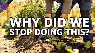 Thumbnail: Hugelkultur: The Self-Watering, Self-Fertilizing Garden Bed That Lasts 20 Years?!