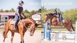 Thumbnail: JUMPING MY HORSES AGAIN! (BARN VLOG)