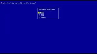 Thumbnail: Installing NetBSD 10.1 (amd64)