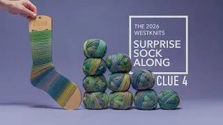 Thumbnail: Chameleonic Socks - Clue 4