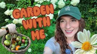 Thumbnail: gardening diaries no. 4 - june is in bloom!