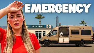 Thumbnail: VAN LIFE REALITY | Emergency Vet Visit & 44°C Heatwave