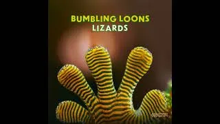 Thumbnail: Bumbling Loons - Komodo
