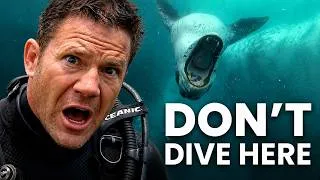 Thumbnail: The Most Dangerous Places I've Ever Dived