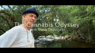 Thumbnail: The Cannabis Odyssey with Steve DeAngelo–Sizzle Reel