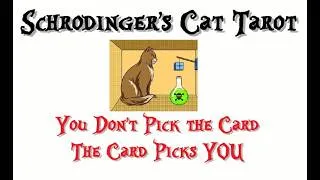 Thumbnail: Schrödinger's Caturday -  How will the LEO South Node Eclipse energy impact you over the next 6 mo.