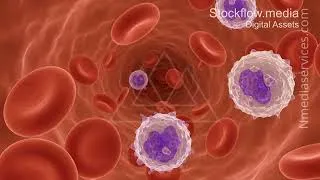 Thumbnail: Leukemia | Cancer Cell | Microscopic - 4K Stock Footage