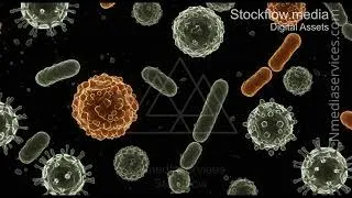 Thumbnail: Tem Virus | Cancer Cell | Microscopic - 4K Stock Footage