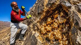 Thumbnail: A Mountain Full of Gold? This Discovery Left Him Speechless 