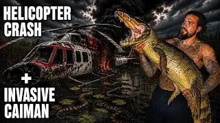 Thumbnail: Helicopter CRASH + Venomous SNAKE'S + Invasive CAIMAN!