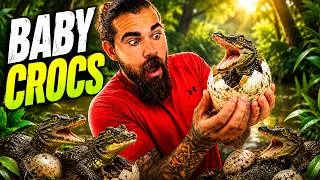 Thumbnail: Baby CROCS Are HATCHING!!!