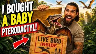 Thumbnail: I Bought a Baby PTERODACTYL!