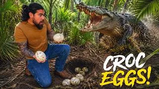 Thumbnail: Stealing Nile CROCODILE Eggs!