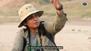 Thumbnail: A Fistful of Sand | Sanctuary Awards 2025 | DSP Mutual Fund