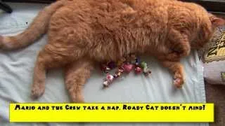 Thumbnail: K'Nex Mario Kart Wii - Daisy Circuit Bloopers