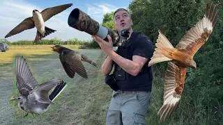 Thumbnail: Birdwatching At The Global Birdfair. 2026.