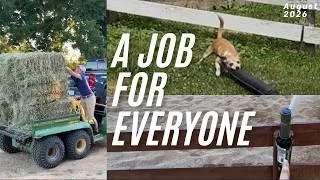 Thumbnail: Sprinklers for Our Outdoor Riding Arena! Plus Horse Show Packing and Farm Clean Up #BarnVlog47
