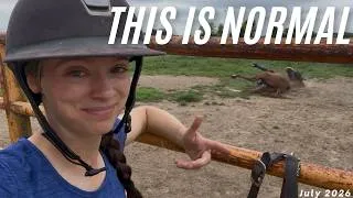 Thumbnail: A Typical Week For A Horse Stable - Getting Chores Done - Plus A Spooking Horse? | Barn Vlog #46