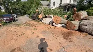 Thumbnail: Powerful Microbursts Topple Trees Onto Cars, Homes, and Roads Across Philadelphia