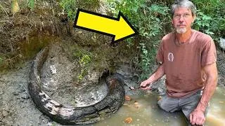 Thumbnail: Man Found a Strange Object Beneath His Field, But What Experts Discovered Shocked Everyone