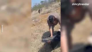 Thumbnail: Man Wrestles Giant Snakes With His Bare Hands! 😱🐍