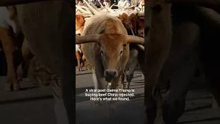 Thumbnail: A viral post claims Trump is buying beef China rejected. Here's what we found.