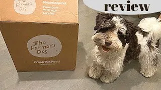 Thumbnail: Picky Miniature Schnauzer Puppy Tries Farmer's Dog Fresh Food Delivery