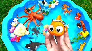 Thumbnail: NEW Shark Octopus Walrus Dog Frog Toy Figures Unboxing!