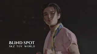 Thumbnail: Blind Spot || STRAYKIDS (스트레이 키즈) || Fan Connecting 2024 "SKZ TOY WORLD"