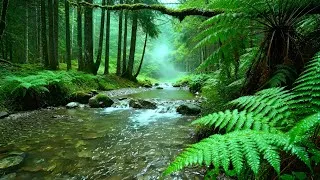 Thumbnail: Forest Ambience Birds Singing Beautiful Stream Sounds for Deep Rest, Sleep, Stress Relief, Medicine