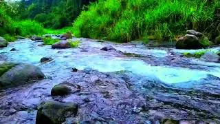 Thumbnail: Relaxing Waterfall Sounds, Forest Sounds, Soothing Nature Sounds for Deep Sleep, Meditation ASMR