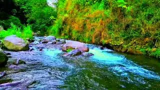 Thumbnail: Relaxing River Sound Mountain Stream ASMR for Deep Sleep Gentle Water Sound Definitely Asleep