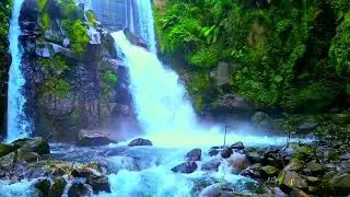Thumbnail: Forest River Nature Sounds - Spectacular Waterfalls, River Sounds for Deep Sleep, Relax, Study