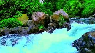 Thumbnail: Nature Sounds Waterfall for Relaxation Meditation Relaxing Calm River Water Flow for Sleep