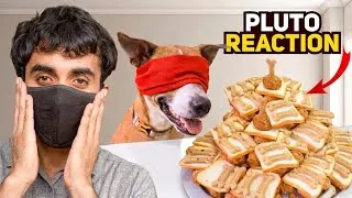 Thumbnail: Biggest Vegan Cake With Surprise In It 🎉