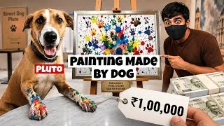 Thumbnail: Sold for ₹1 Lakh ⭐ Painting Made By Dog Pluto 😱 
