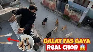 Thumbnail: Chor Ghar Me Fas Gaya 😱 | Street Dog Pluto