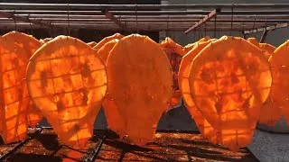 Thumbnail: Exclusive!! Super Crispy Peking Duck and The First Guitar Duck in Thailand!